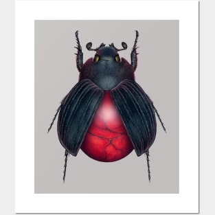 Red Jasper Beetle Posters and Art